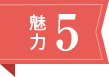 魅力5