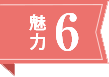 魅力6